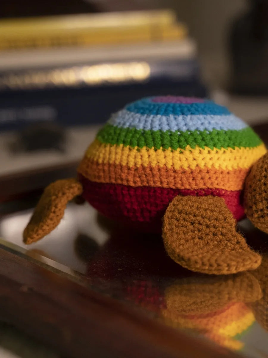 Rainbow Turtle