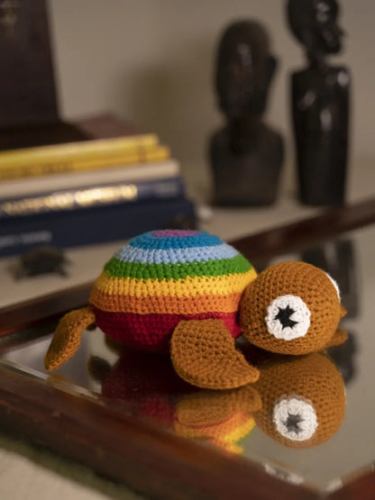 Rainbow Turtle