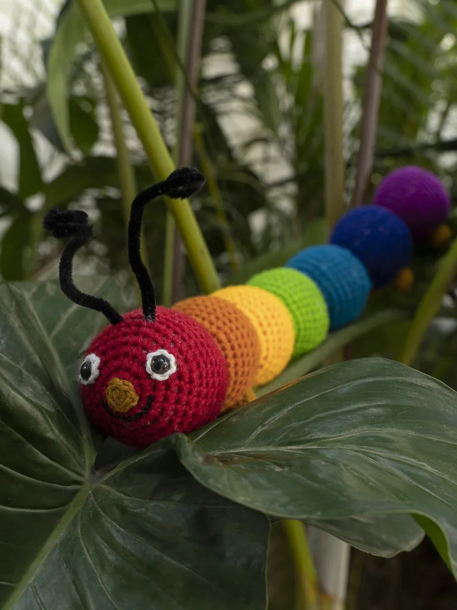 Hungry Caterpillar