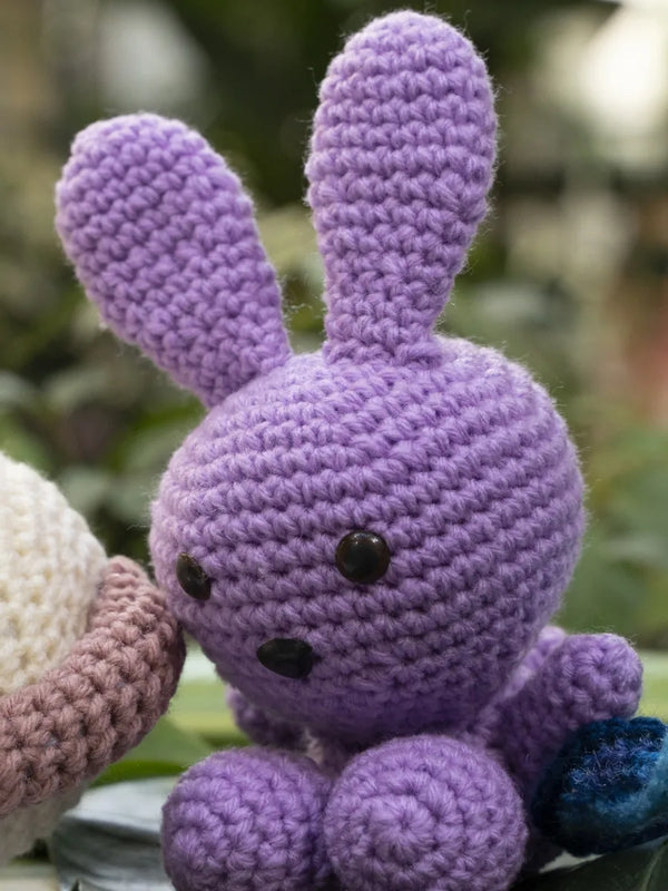 Bunny Rabbit